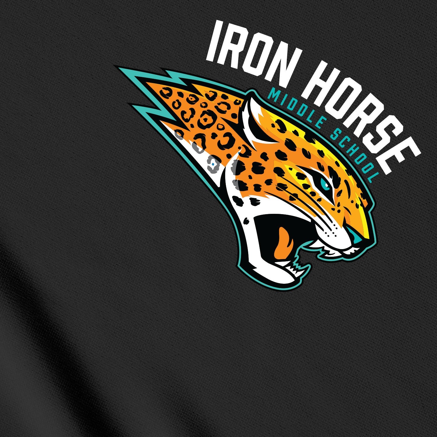Iron Horse Middle School - Insignia Collection