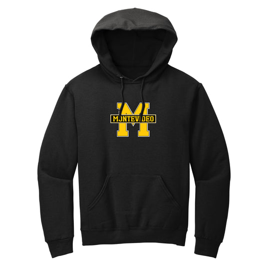 Insignia Collection pullover hoodie