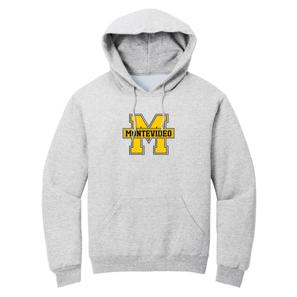 Insignia Collection pullover hoodie