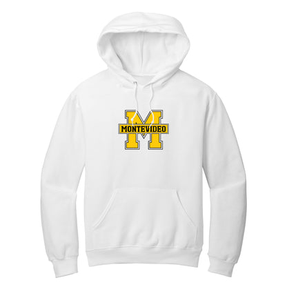 Insignia Collection pullover hoodie