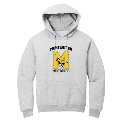 Signature Collection pullover hoodie
