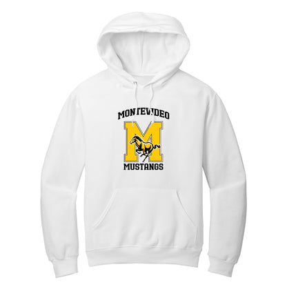 Signature Collection pullover hoodie